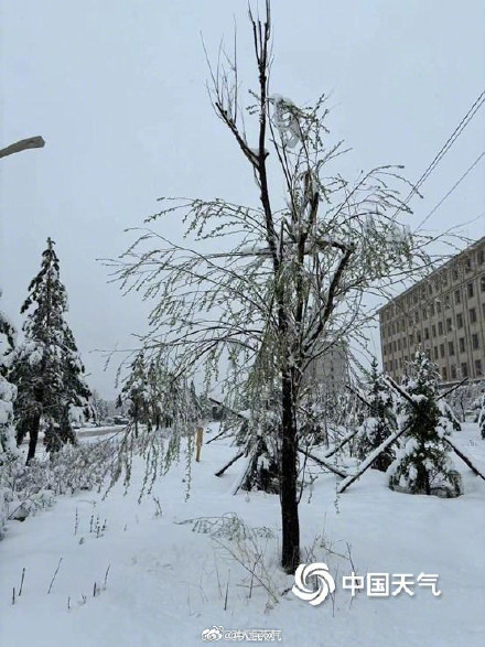 内蒙古局地遭遇罕见特大暴雪