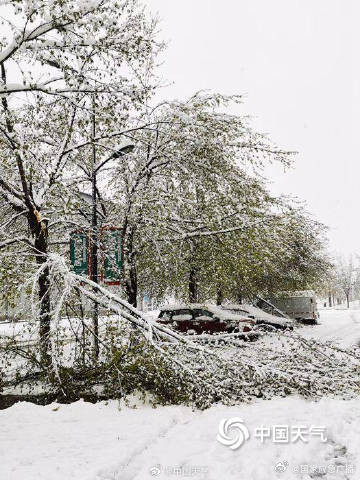 内蒙古局地遭遇4月罕见特大暴雪