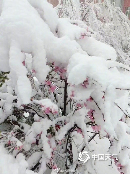 内蒙古局地遭遇罕见特大暴雪