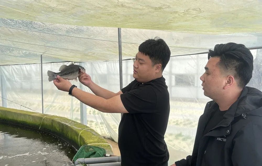 一个人轻松管理2000亩!这群回归田间地头的年轻人究竟有什么“魔力”? 一个人轻松管理2000亩!这群回归田间地头的年轻人究竟有什么“魔力”?