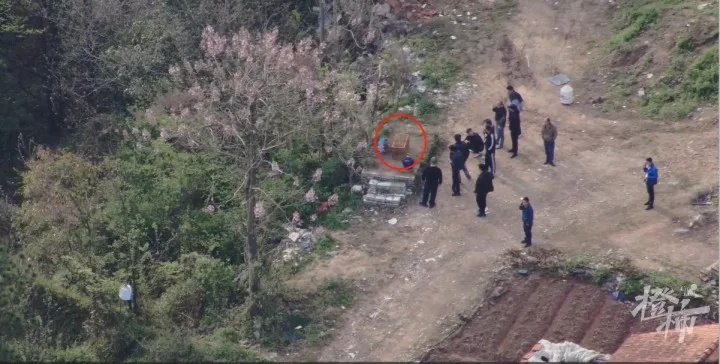 一到周末,这片墓地就传出尖锐鸣叫声!什么情况? 一到周末,这片墓地就传出尖锐鸣叫声!什么情况?