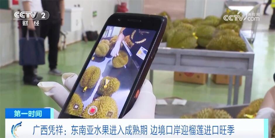 “花样”农产品抢“鲜”上市 为假期居民“菜篮子”“果盘子”增色添彩