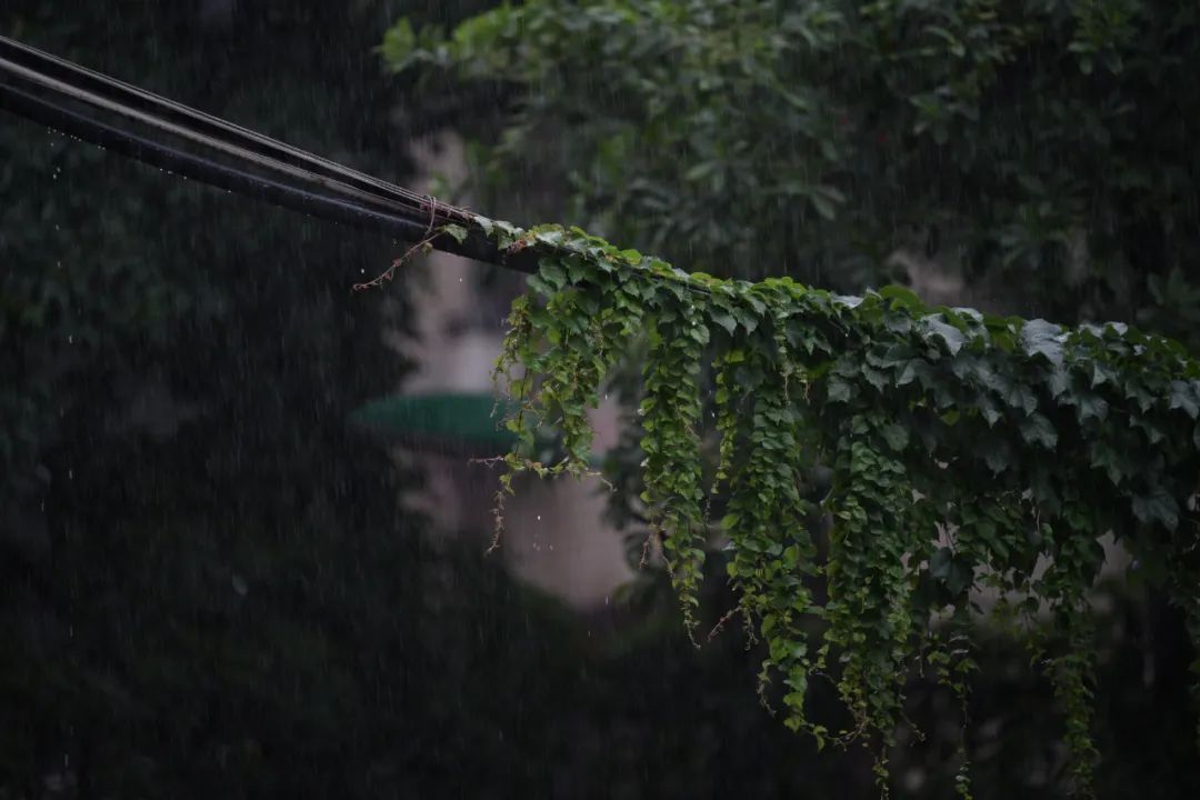 大暴雨、雷暴大风、冰雹，今晚就到！湖南启动气象灾害（暴雨、强对流）四级应急响应