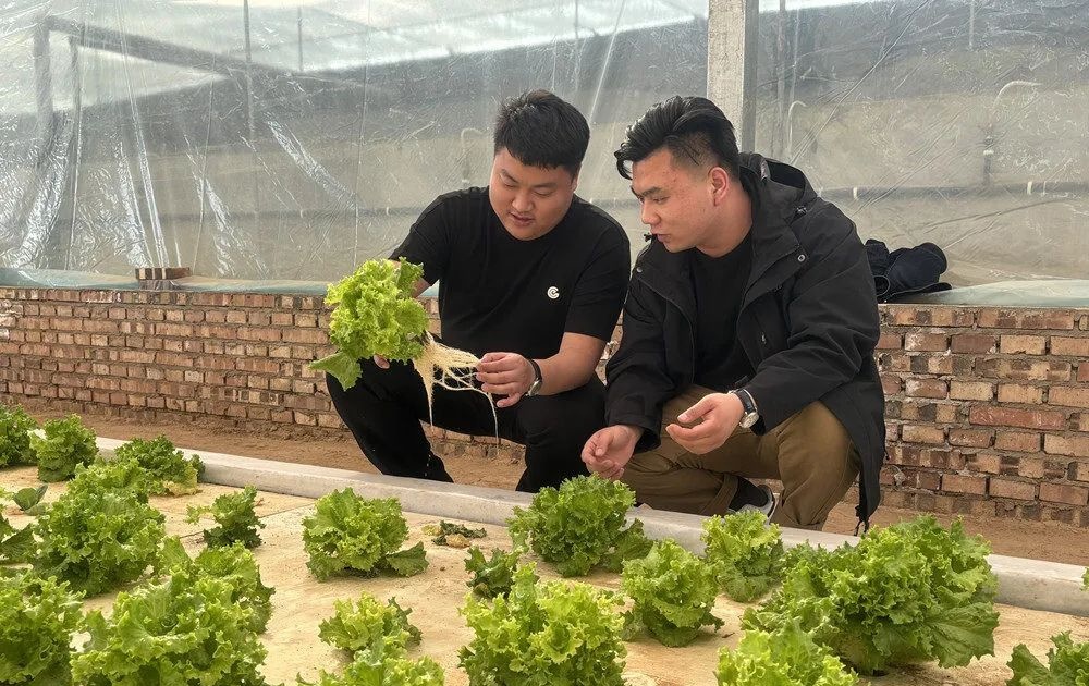 一个人轻松管理2000亩!这群回归田间地头的年轻人究竟有什么“魔力”? 一个人轻松管理2000亩!这群回归田间地头的年轻人究竟有什么“魔力”?