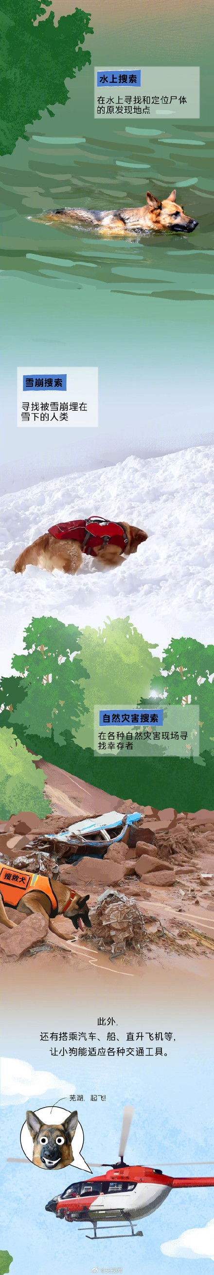 搜救犬的职责不只有震后搜救，还有水上救援、雪上搜救......