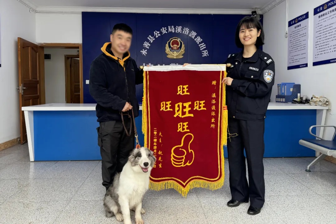 惊了！边牧迷路后竟自己到派出所“报警”