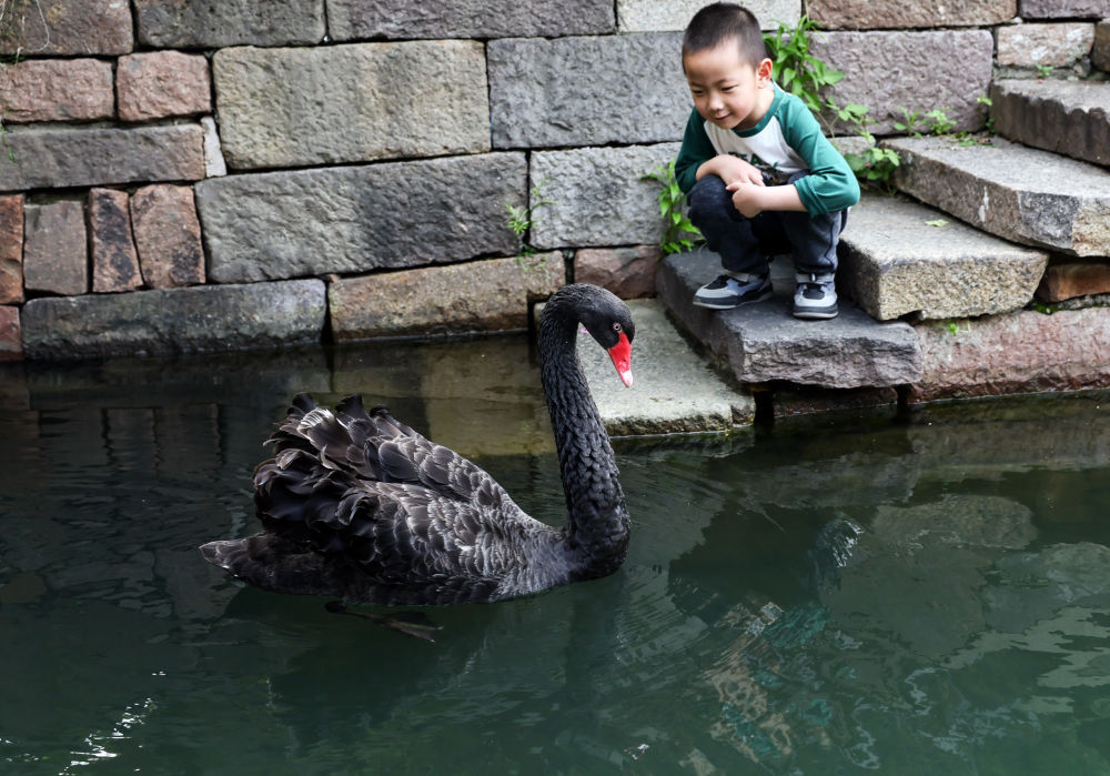 时尚古镇江南韵