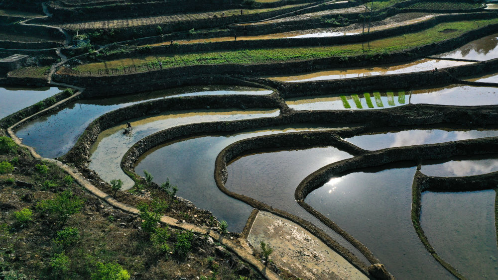 绝壁天渠上流淌的“生机”