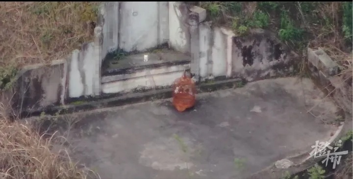 一到周末,这片墓地就传出尖锐鸣叫声!什么情况? 一到周末,这片墓地就传出尖锐鸣叫声!什么情况?