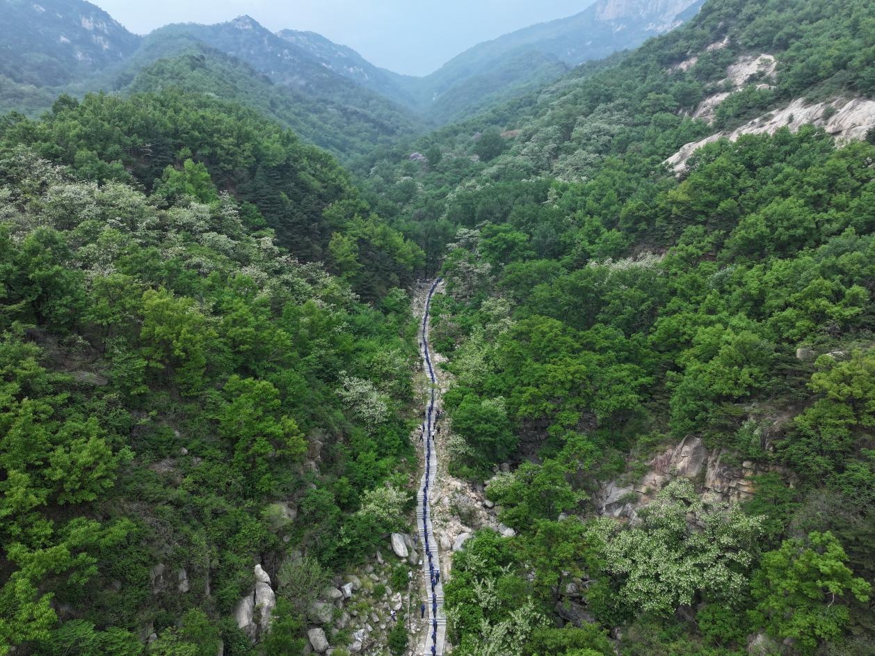 170多名电力“挑山工”肩扛2.9吨电缆上泰山 170多名电力“挑山工”肩扛2.9吨电缆上泰山