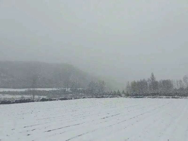 快五月了还雪花飘飘？河北一地出现降雪天气 积雪一尺多厚
