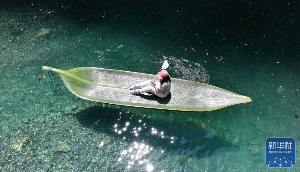 “箬叶”浮碧波 “箬叶”浮碧波