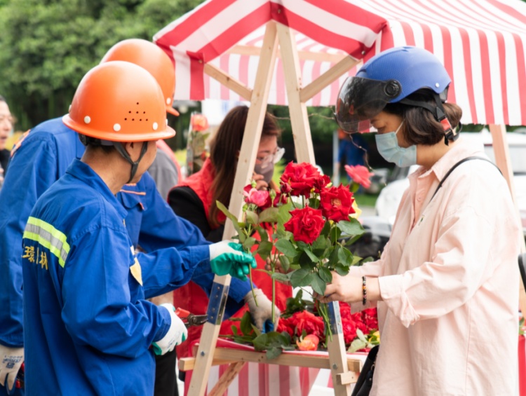 路边的花美爆了,可以摘回家吗?多地这样做 路边的花美爆了,可以摘回家吗?多地这样做