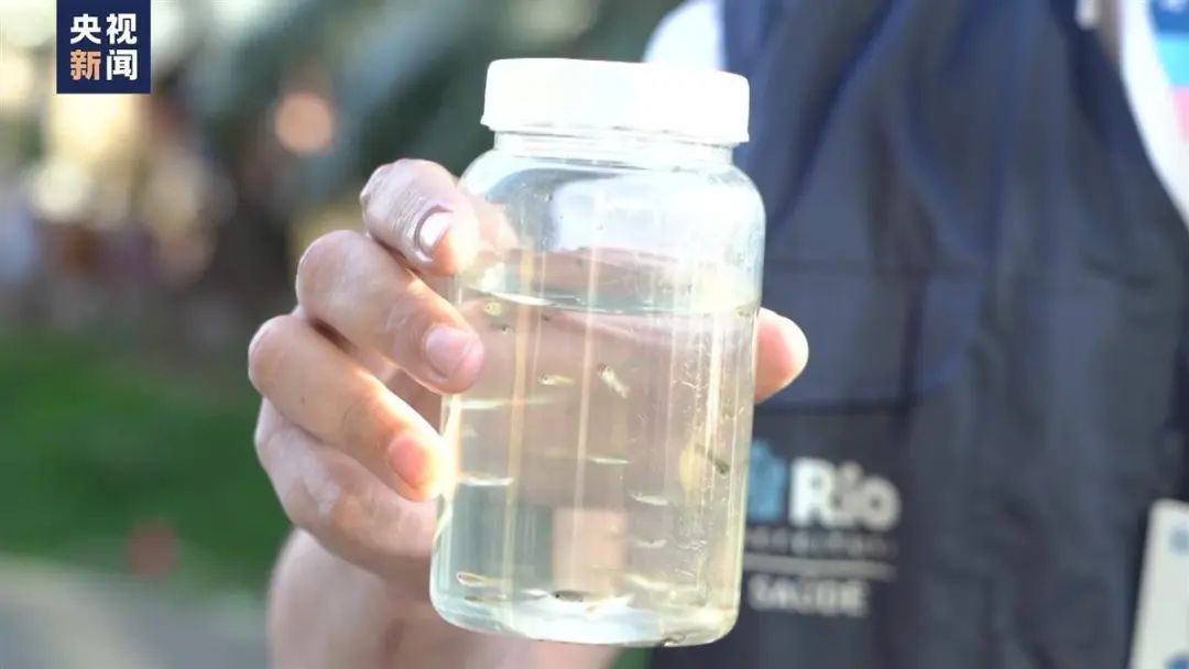 为阻止这种病毒传播!此地建工厂,每年生产约5亿只蚊子... 为阻止这种病毒传播!此地建工厂,每年生产约5亿只蚊子...