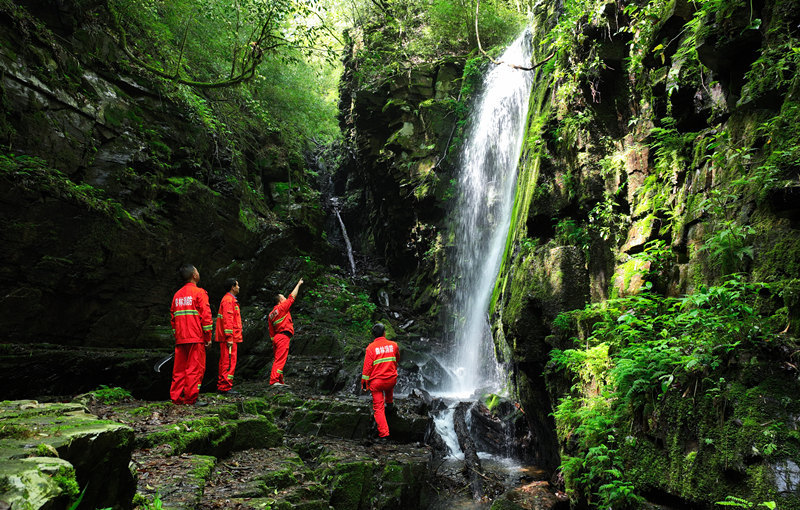 巡山护林数十载 他们见证秃山变万亩青山