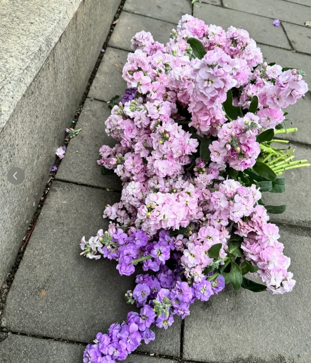 路边的花美爆了,可以摘回家吗?多地这样做 路边的花美爆了,可以摘回家吗?多地这样做