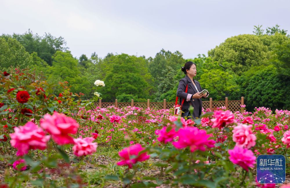 走进嘉兴植物园 走进嘉兴植物园