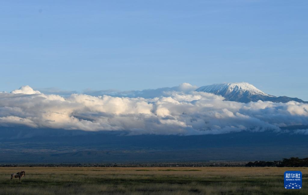 雨季下的肯尼亚安博塞利国家公园
