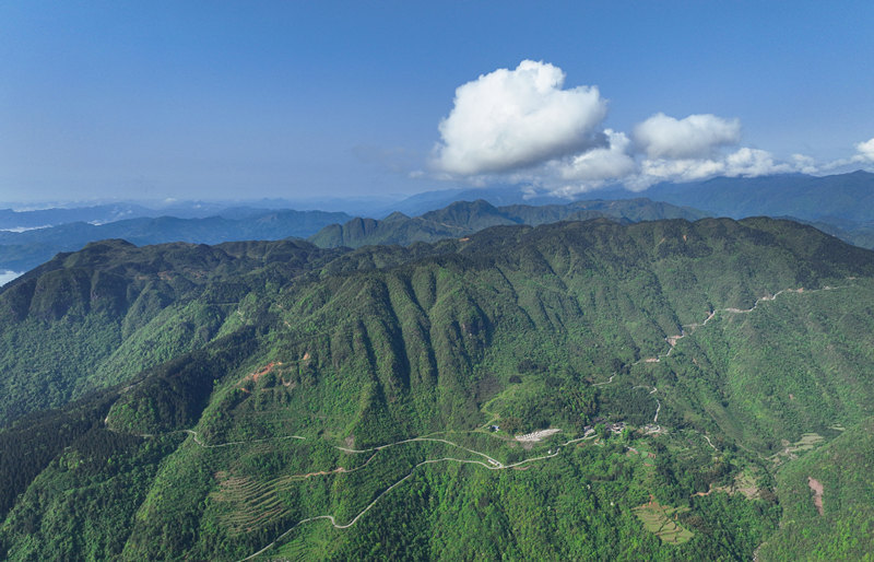 巡山护林数十载 他们见证秃山变万亩青山
