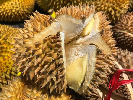 长期吃榴莲身体会发生什么变化 长期吃榴莲身体会发生什么变化