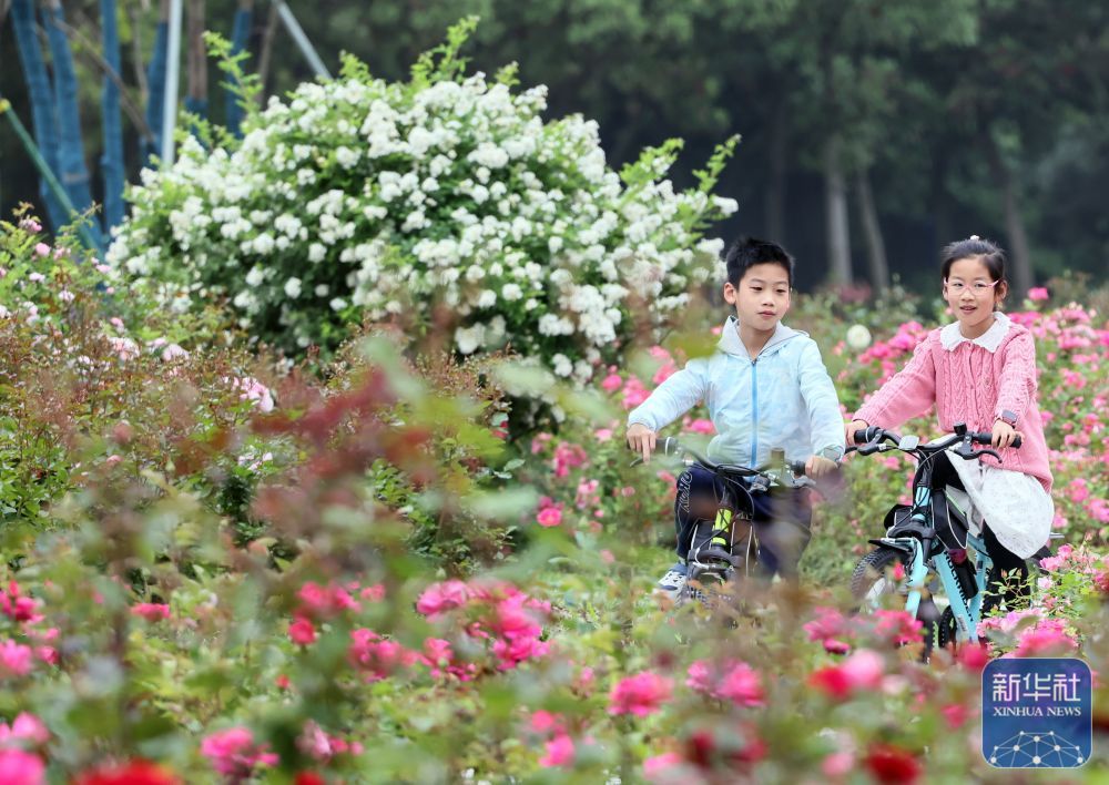 走进嘉兴植物园 走进嘉兴植物园