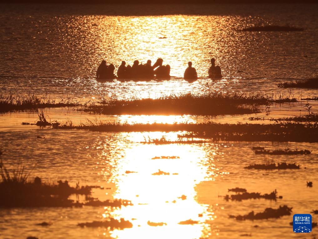 雨季下的肯尼亚安博塞利国家公园