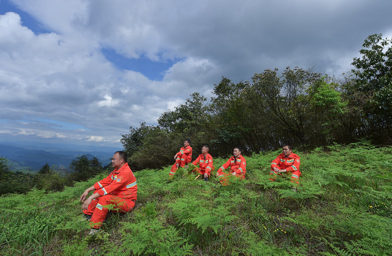 巡山护林数十载 他们见证秃山变万亩青山
