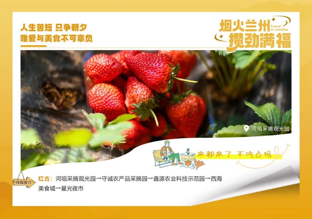 兰州这8条旅游线路邀您打卡! 兰州这8条旅游线路邀您打卡!