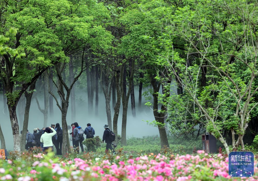走进嘉兴植物园 走进嘉兴植物园