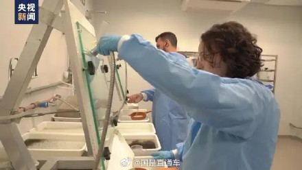 巴西登革热病例破400万，巴西多地设蚊子工厂抗疫