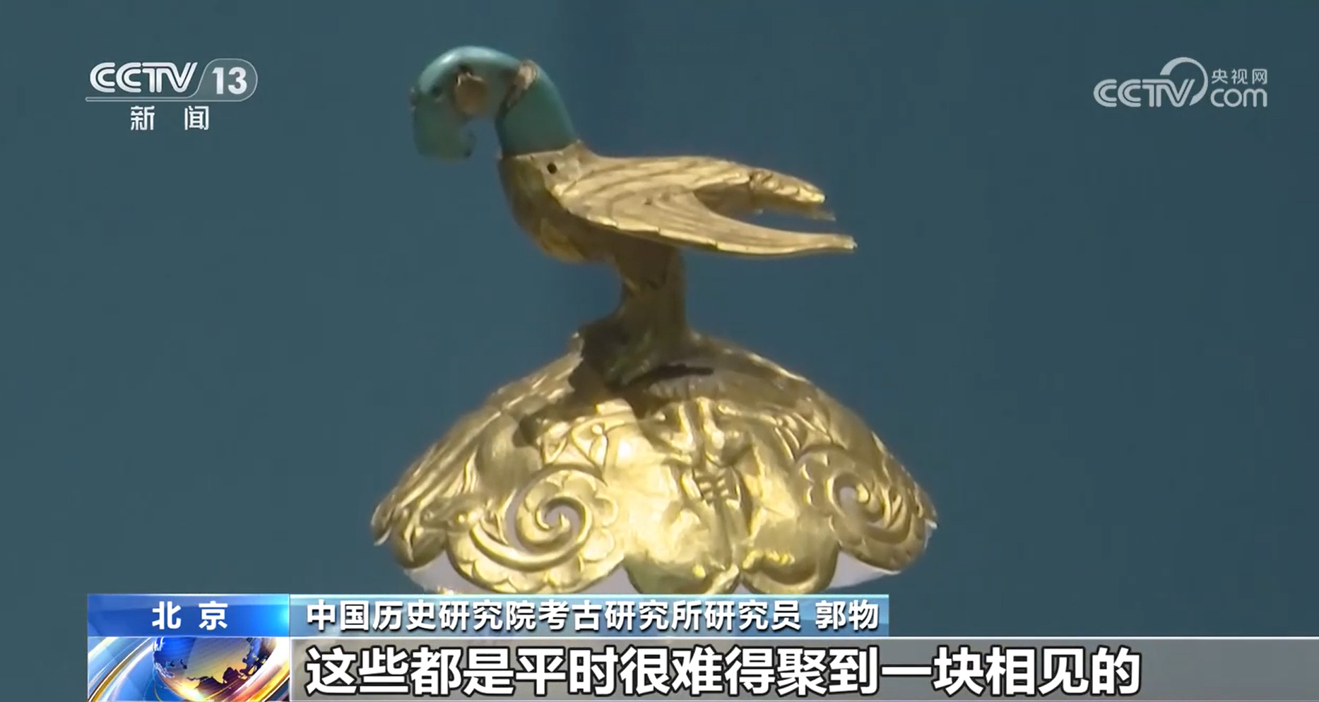 C形龙、玉猪龙……这个展览“含龙量”好高！