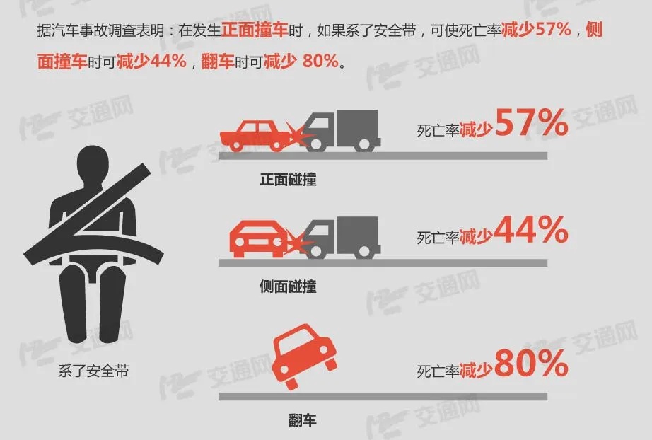 上海动真格？后排乘客不系安全带罚款200元？官方回应来了