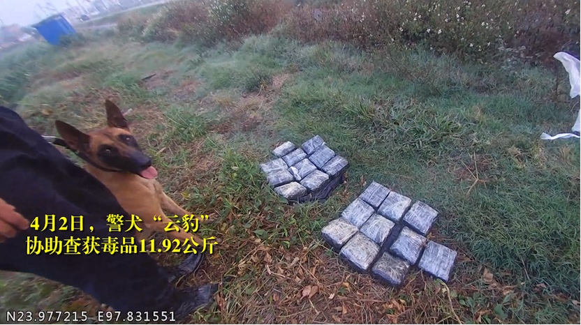 “鸡腿给你,祝前辈退役快乐……” “鸡腿给你,祝前辈退役快乐……”