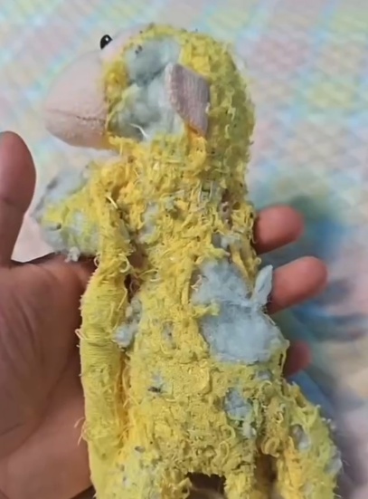 “停产了!”父亲为儿子的玩偶求助全网,陌生人寄来珍藏同款,还有一封手写信 “停产了!”父亲为儿子的玩偶求助全网,陌生人寄来珍藏同款,还有一封手写信