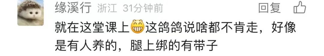 浙大老师狂刷高考题？他的早八课，要提前半小时抢座……