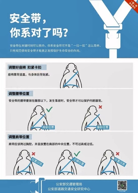 上海动真格？后排乘客不系安全带罚款200元？官方回应来了