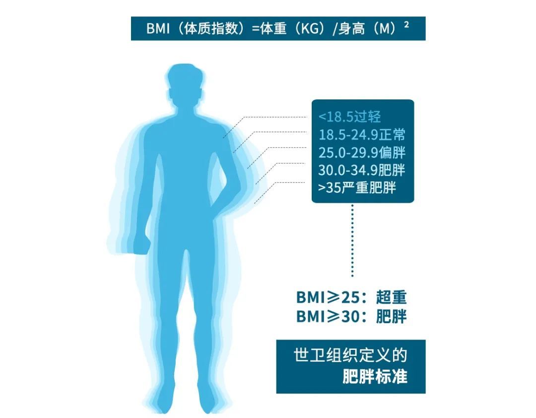 哪种体型的人更长寿?研究发现:这个部位“细”点好! 哪种体型的人更长寿?研究发现:这个部位“细”点好!
