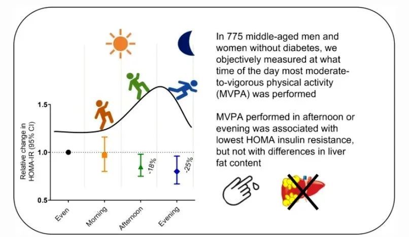 早上运动好还是晚上运动好?研究发现:不同的人“最佳运动时间”不同 早上运动好还是晚上运动好?研究发现:不同的人“最佳运动时间”不同