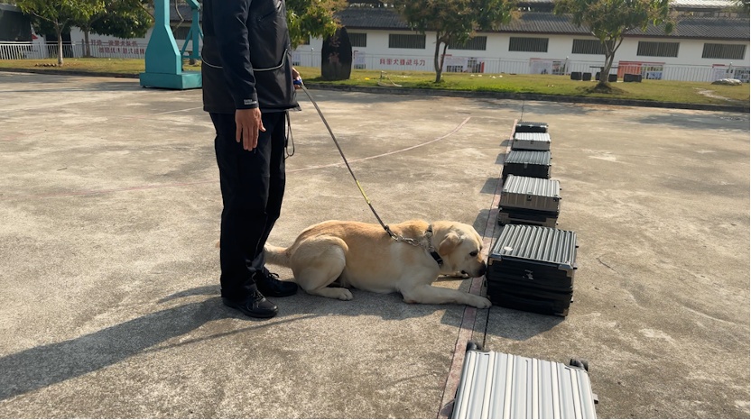 “鸡腿给你,祝前辈退役快乐……” “鸡腿给你,祝前辈退役快乐……”