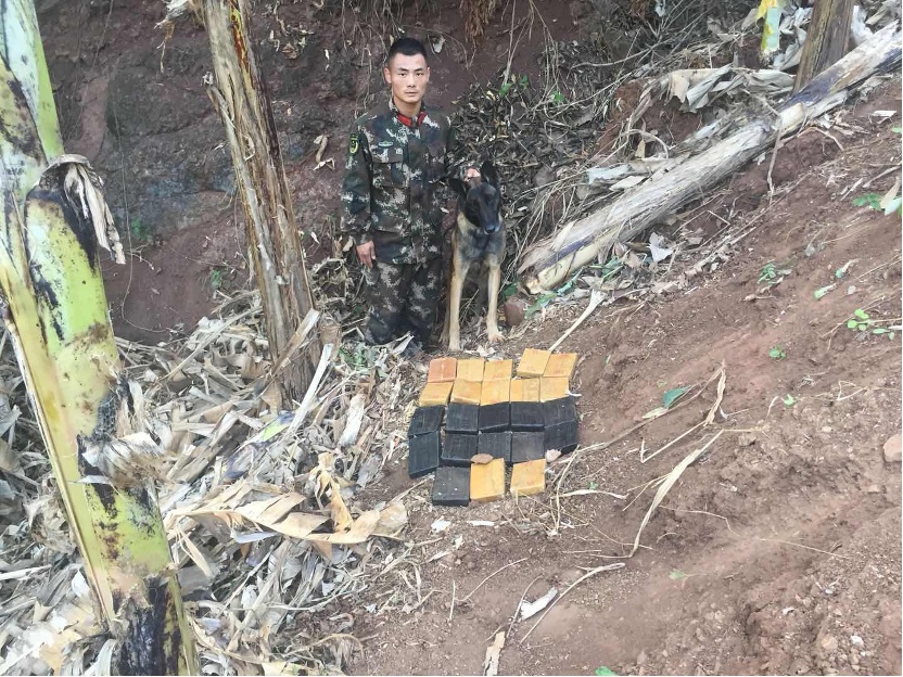 “鸡腿给你,祝前辈退役快乐……” “鸡腿给你,祝前辈退役快乐……”