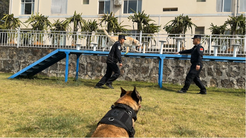 “鸡腿给你,祝前辈退役快乐……” “鸡腿给你,祝前辈退役快乐……”