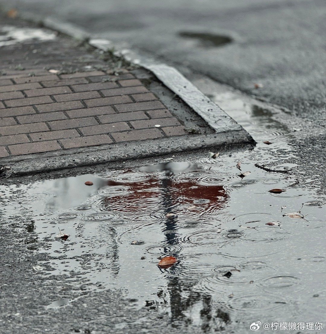 堵在路上没?暴雨+大风+降温+出城高峰同步抵达上海 堵在路上没?暴雨+大风+降温+出城高峰同步抵达上海