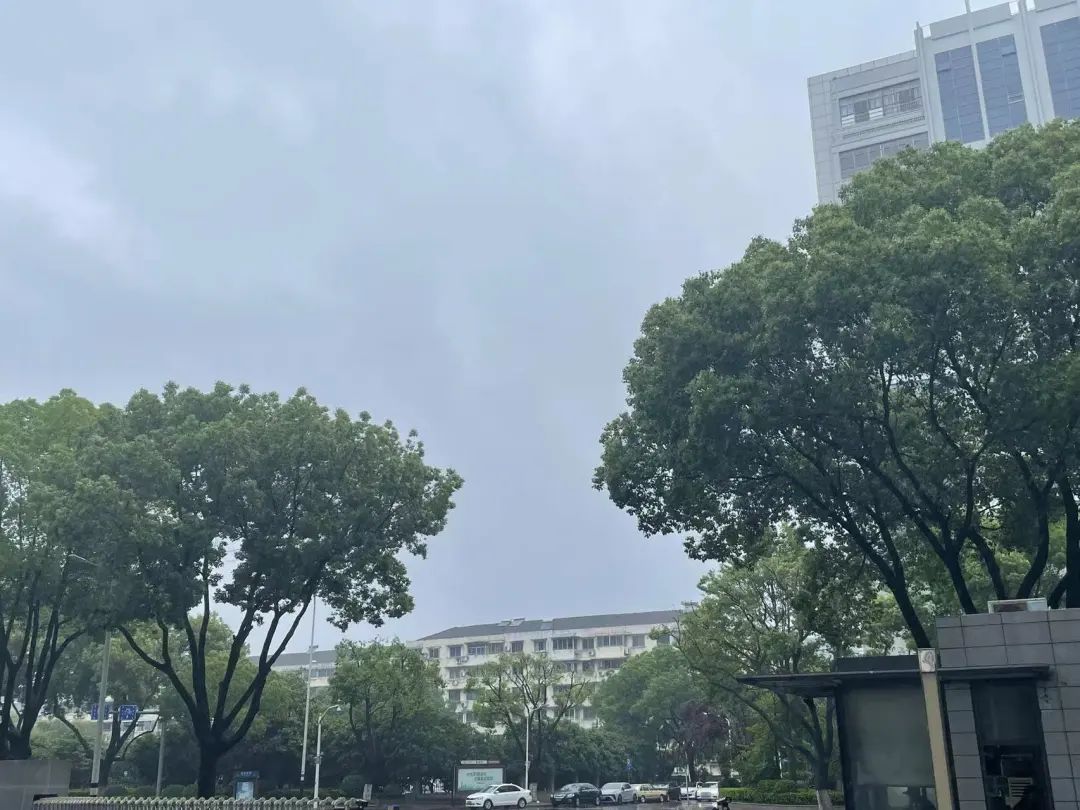 浙江刚刚宣布:暴雨量级! 浙江刚刚宣布:暴雨量级!