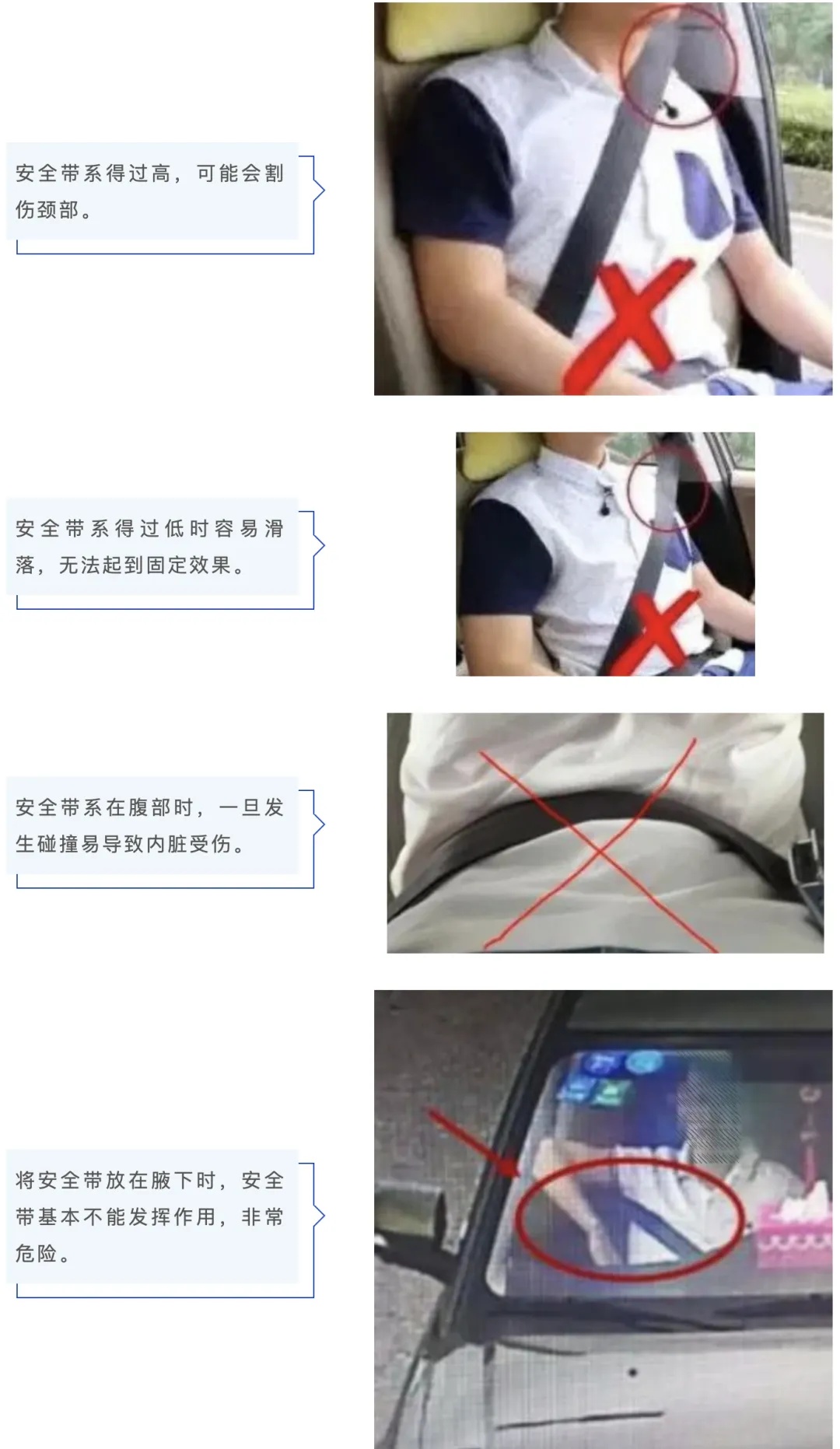 上海动真格？后排乘客不系安全带罚款200元？官方回应来了