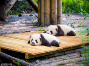 成渝文旅一卡通正式面世，300元畅玩川渝50余家景区