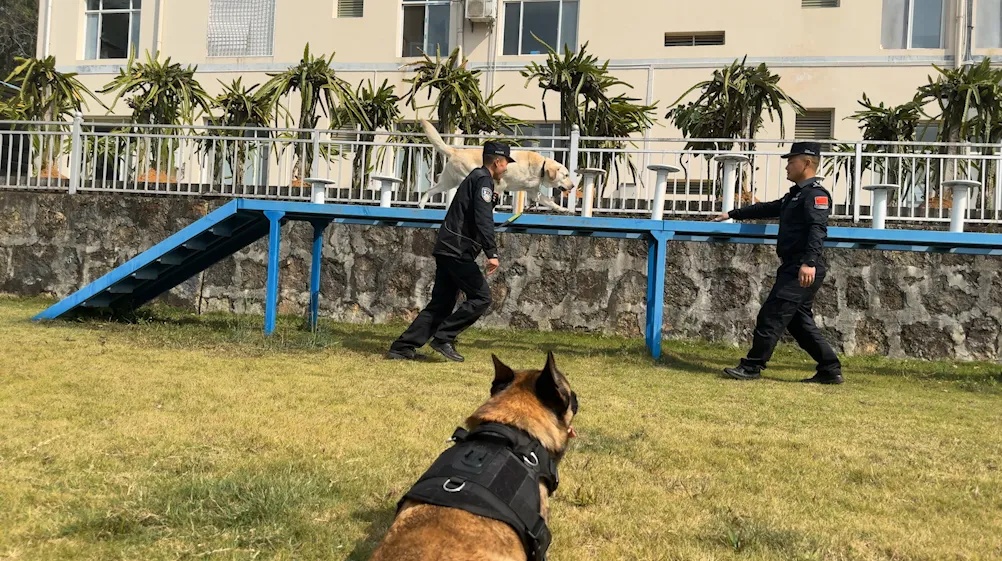 戍边8年，缉毒8年！这位“老兵”退役了……