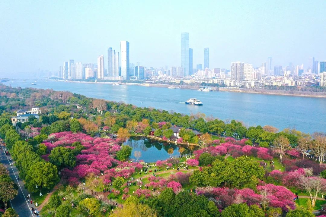 刚刚,橘子洲、岳麓山最新提醒! 刚刚,橘子洲、岳麓山最新提醒!