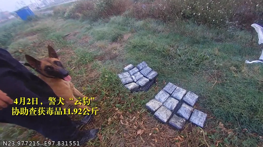 戍边8年，缉毒8年！这位“老兵”退役了……