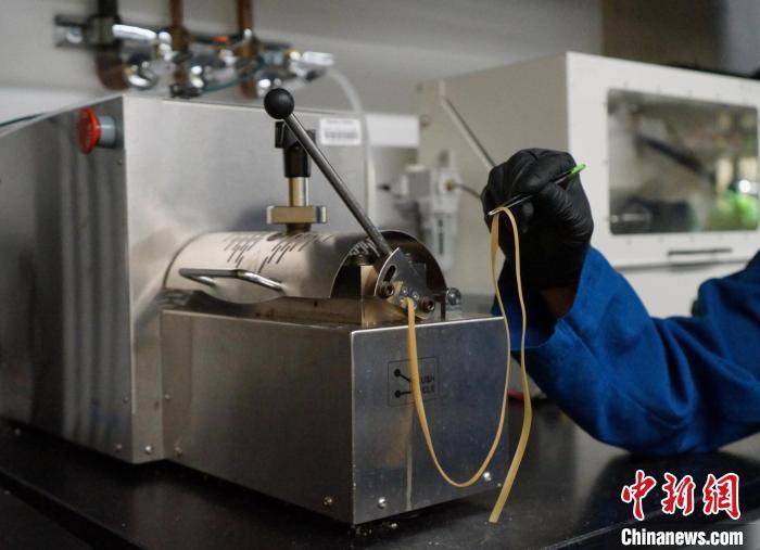 国际最新研究:“细菌吃塑料”或助力缓解全球塑料污染 国际最新研究:“细菌吃塑料”或助力缓解全球塑料污染