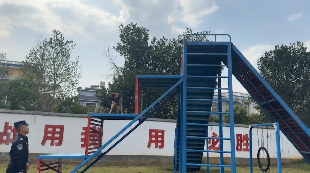 戍边8年，缉毒8年！这位“老兵”退役了……